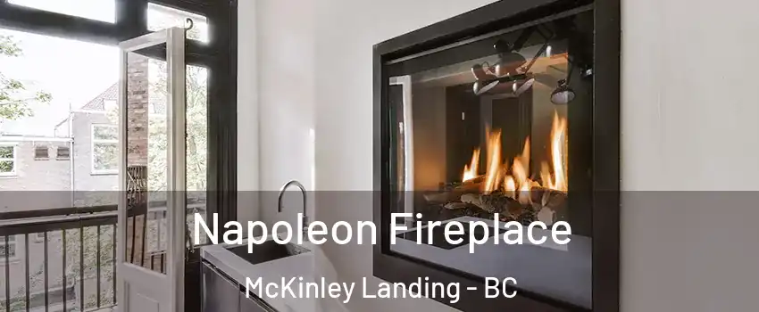  Napoleon Fireplace McKinley Landing - BC