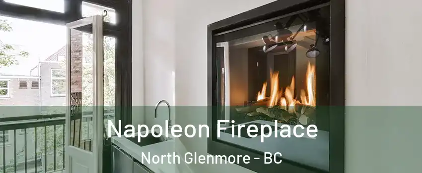 Napoleon Fireplace North Glenmore - BC