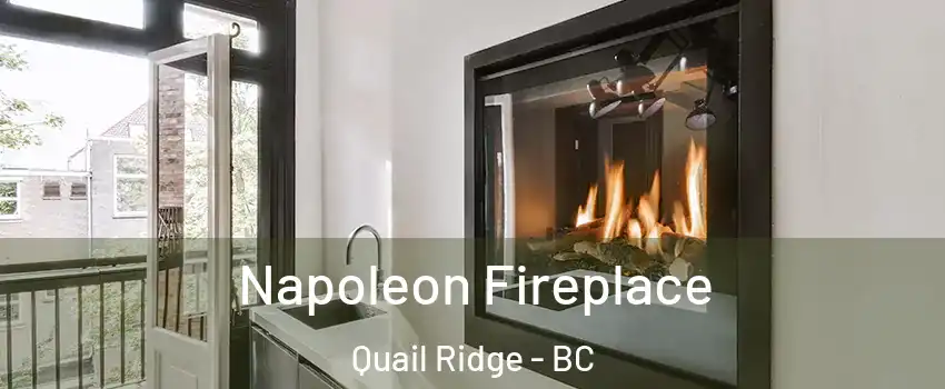  Napoleon Fireplace Quail Ridge - BC