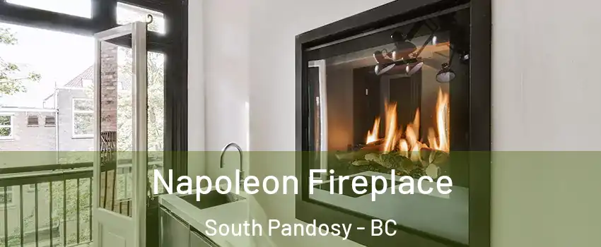  Napoleon Fireplace South Pandosy - BC