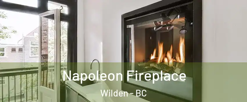  Napoleon Fireplace Wilden - BC
