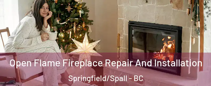  Open Flame Fireplace Repair And Installation Springfield/Spall - BC
