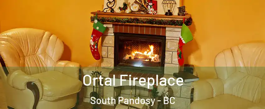 Ortal Fireplace South Pandosy - BC