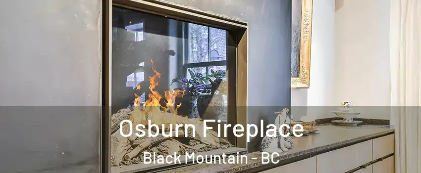  Osburn Fireplace Black Mountain - BC