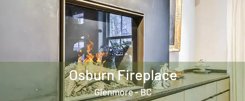  Osburn Fireplace Glenmore - BC