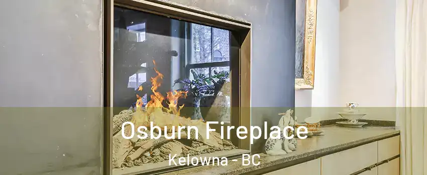  Osburn Fireplace Kelowna - BC