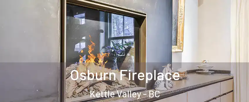  Osburn Fireplace Kettle Valley - BC