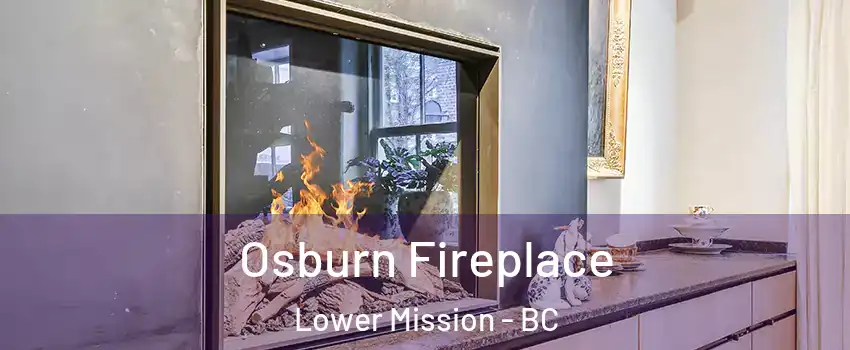  Osburn Fireplace Lower Mission - BC