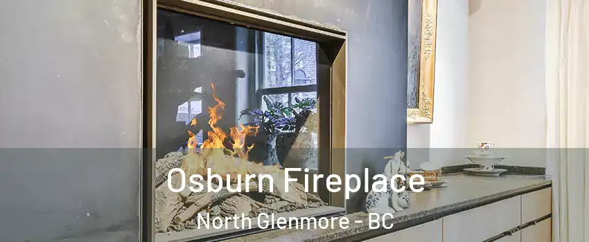 Osburn Fireplace North Glenmore - BC