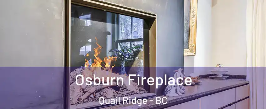  Osburn Fireplace Quail Ridge - BC