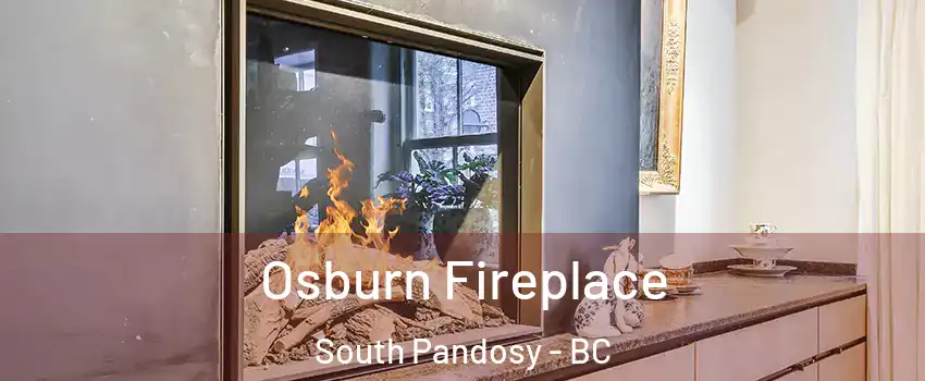  Osburn Fireplace South Pandosy - BC
