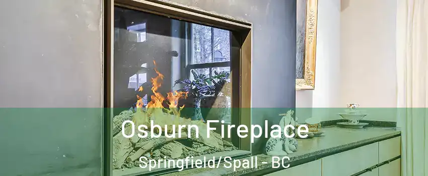  Osburn Fireplace Springfield/Spall - BC