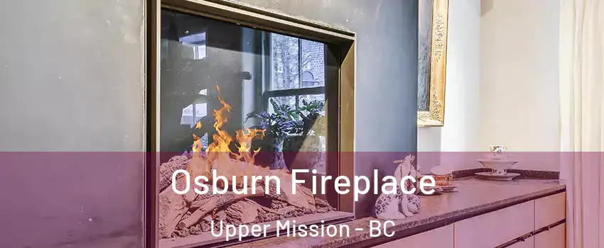  Osburn Fireplace Upper Mission - BC