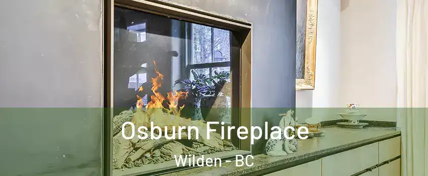  Osburn Fireplace Wilden - BC