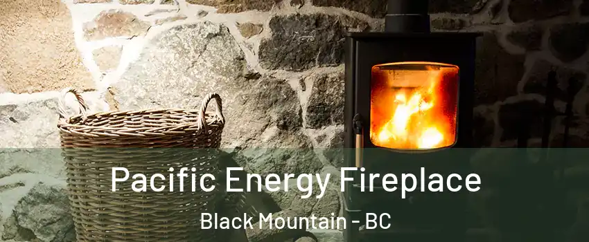  Pacific Energy Fireplace Black Mountain - BC