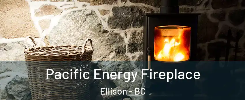  Pacific Energy Fireplace Ellison - BC