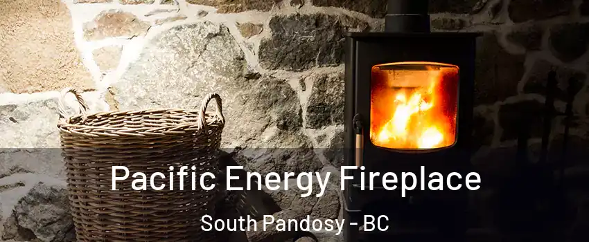  Pacific Energy Fireplace South Pandosy - BC