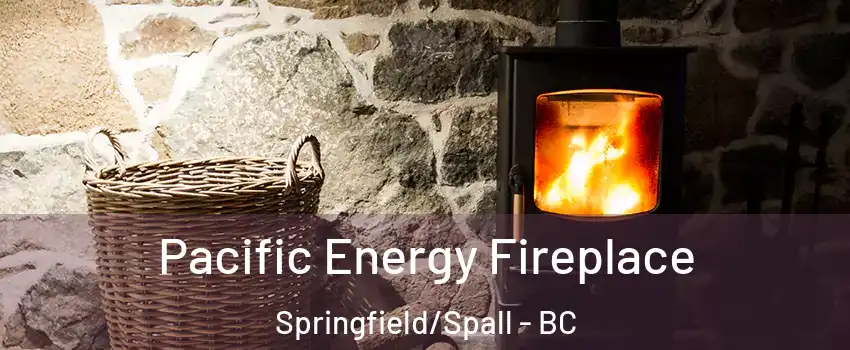  Pacific Energy Fireplace Springfield/Spall - BC