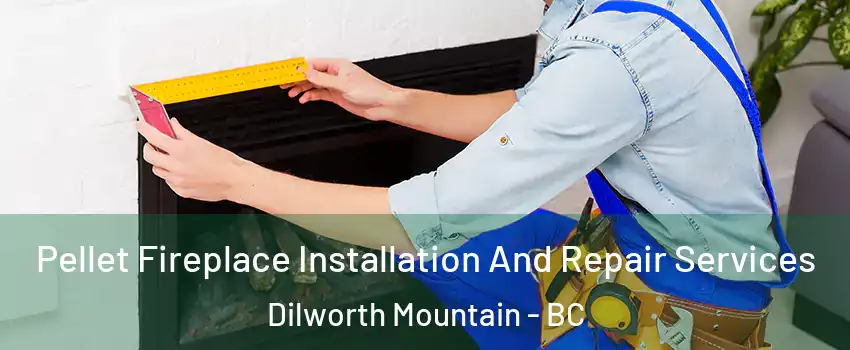  Pellet Fireplace Installation And Repair Services Dilworth Mountain - BC