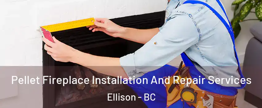  Pellet Fireplace Installation And Repair Services Ellison - BC