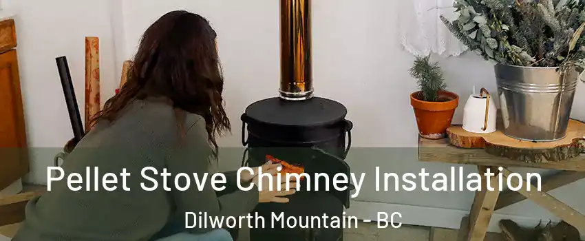  Pellet Stove Chimney Installation Dilworth Mountain - BC
