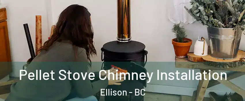  Pellet Stove Chimney Installation Ellison - BC