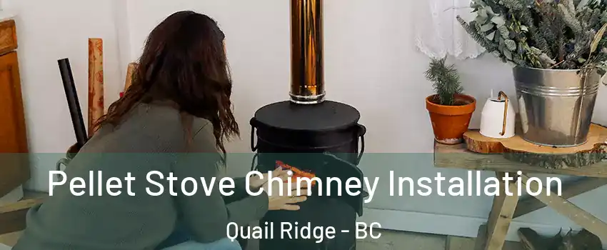  Pellet Stove Chimney Installation Quail Ridge - BC