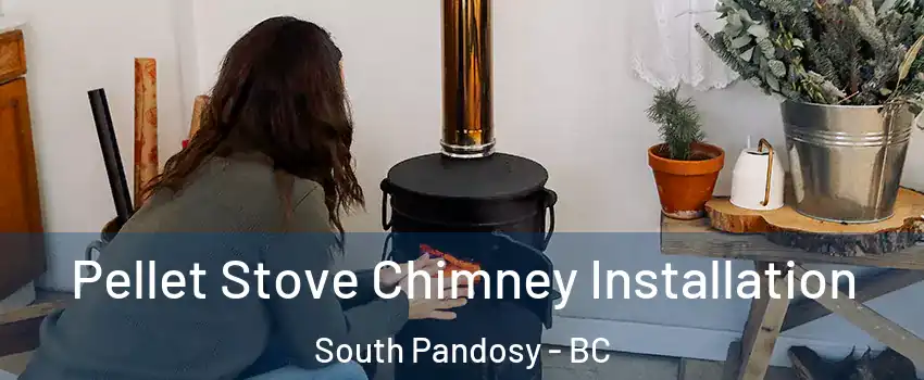  Pellet Stove Chimney Installation South Pandosy - BC
