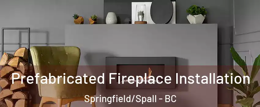  Prefabricated Fireplace Installation Springfield/Spall - BC