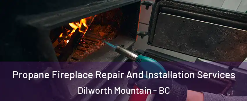 Propane Fireplace Repair And Installation Services Dilworth Mountain - BC