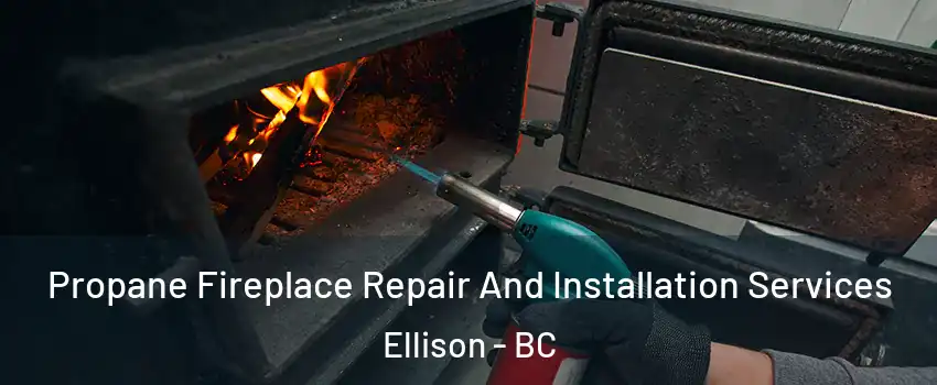Propane Fireplace Repair And Installation Services Ellison - BC