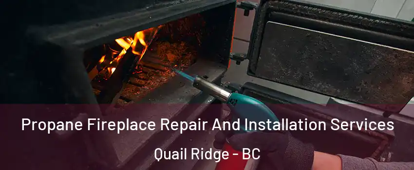 Propane Fireplace Repair And Installation Services Quail Ridge - BC