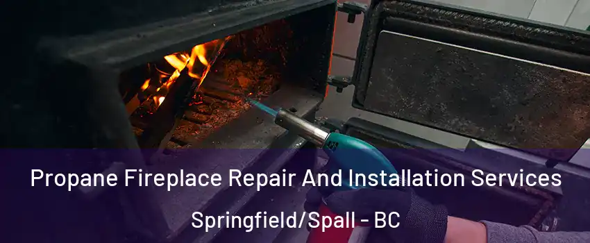 Propane Fireplace Repair And Installation Services Springfield/Spall - BC