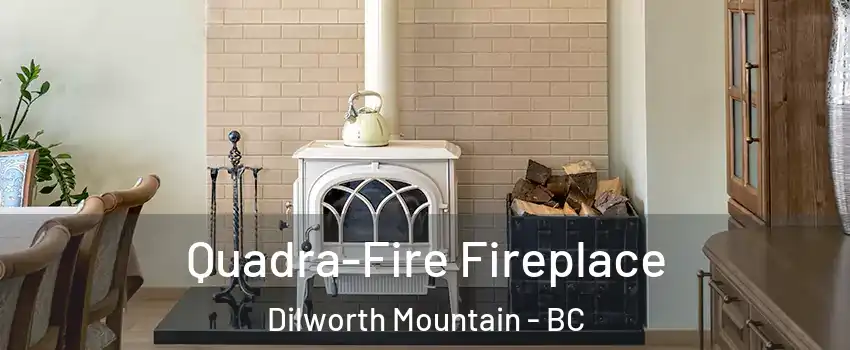  Quadra-Fire Fireplace Dilworth Mountain - BC