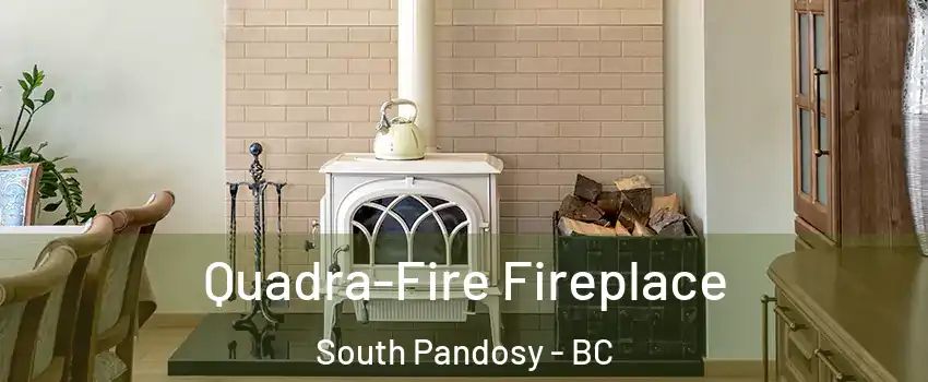  Quadra-Fire Fireplace South Pandosy - BC