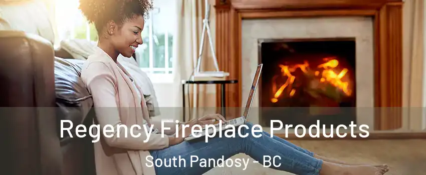  Regency Fireplace Products South Pandosy - BC