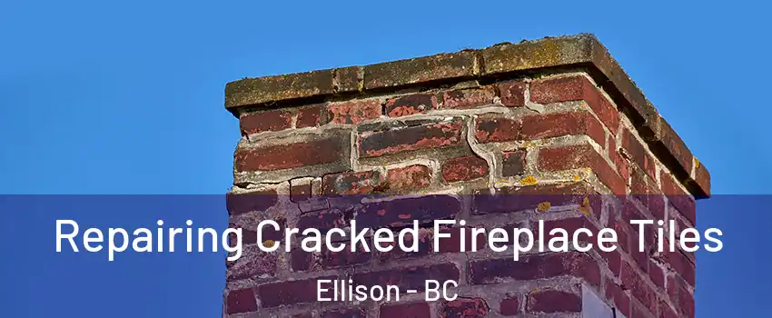 Repairing Cracked Fireplace Tiles Ellison - BC