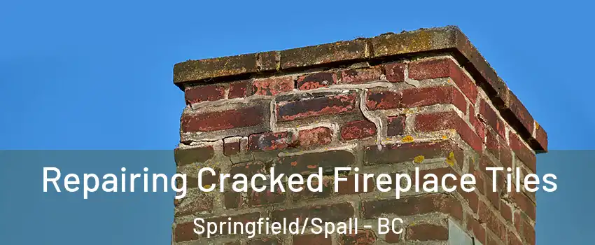  Repairing Cracked Fireplace Tiles Springfield/Spall - BC