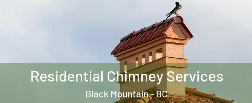  Residential Chimney Services Black Mountain - BC