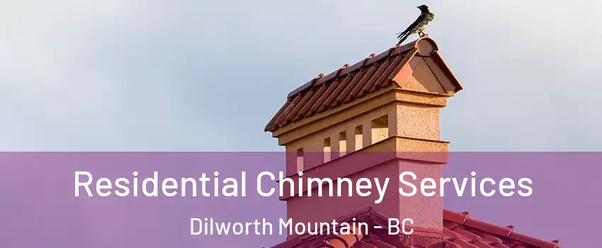  Residential Chimney Services Dilworth Mountain - BC