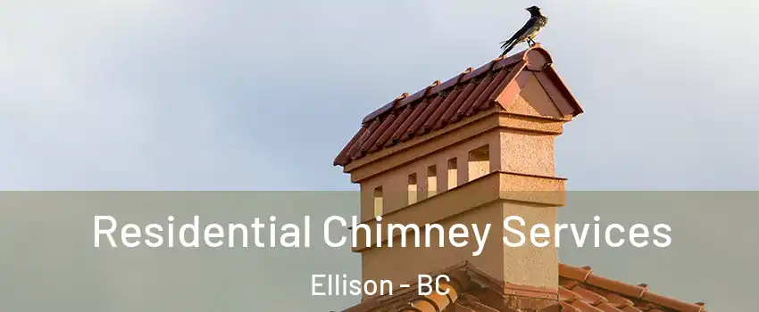  Residential Chimney Services Ellison - BC