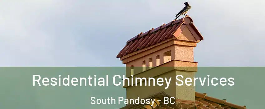  Residential Chimney Services South Pandosy - BC