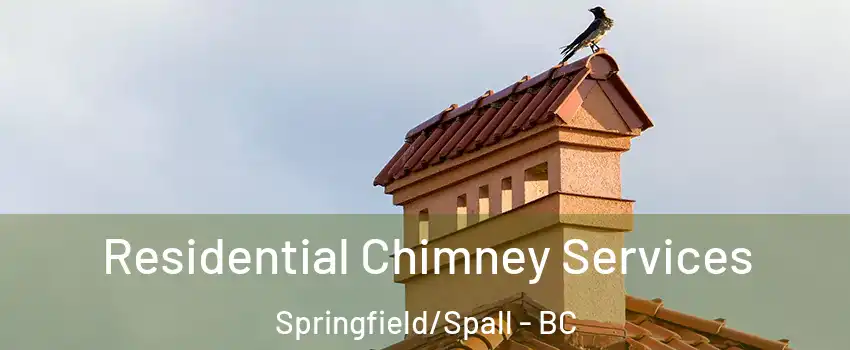  Residential Chimney Services Springfield/Spall - BC