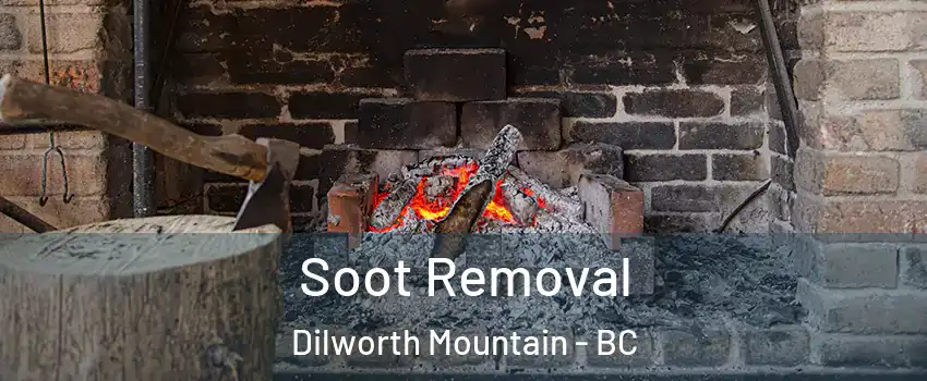  Soot Removal Dilworth Mountain - BC