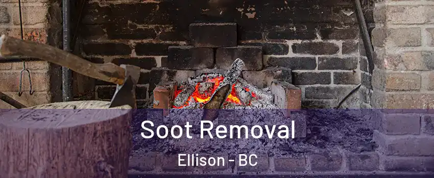  Soot Removal Ellison - BC