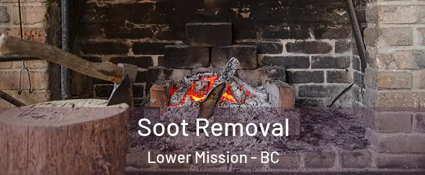  Soot Removal Lower Mission - BC