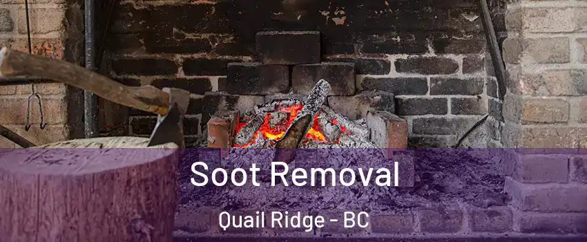 Soot Removal Quail Ridge - BC