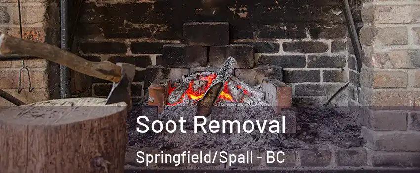  Soot Removal Springfield/Spall - BC