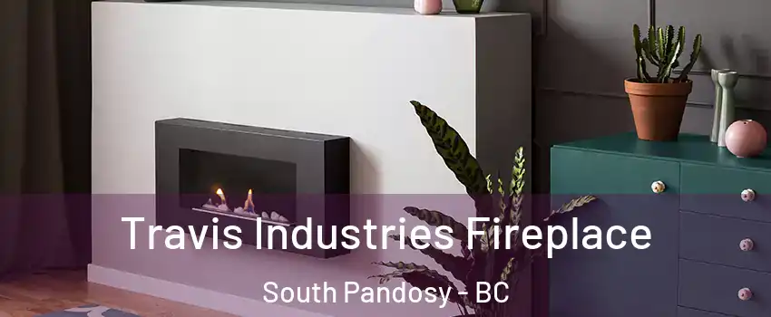Travis Industries Fireplace South Pandosy - BC