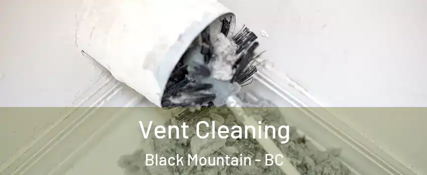  Vent Cleaning Black Mountain - BC